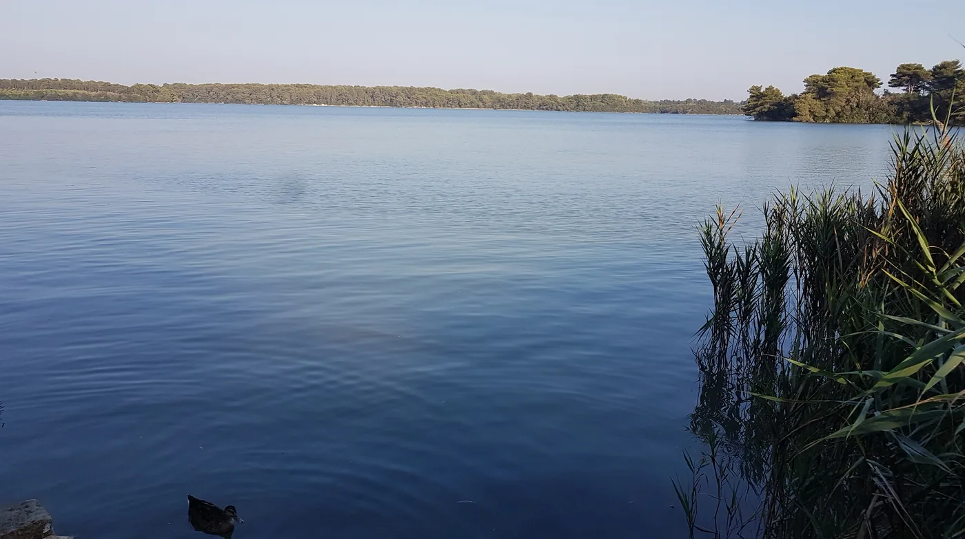 Der See Alimini Grande bei Otranto mit Schilf am Ufer.