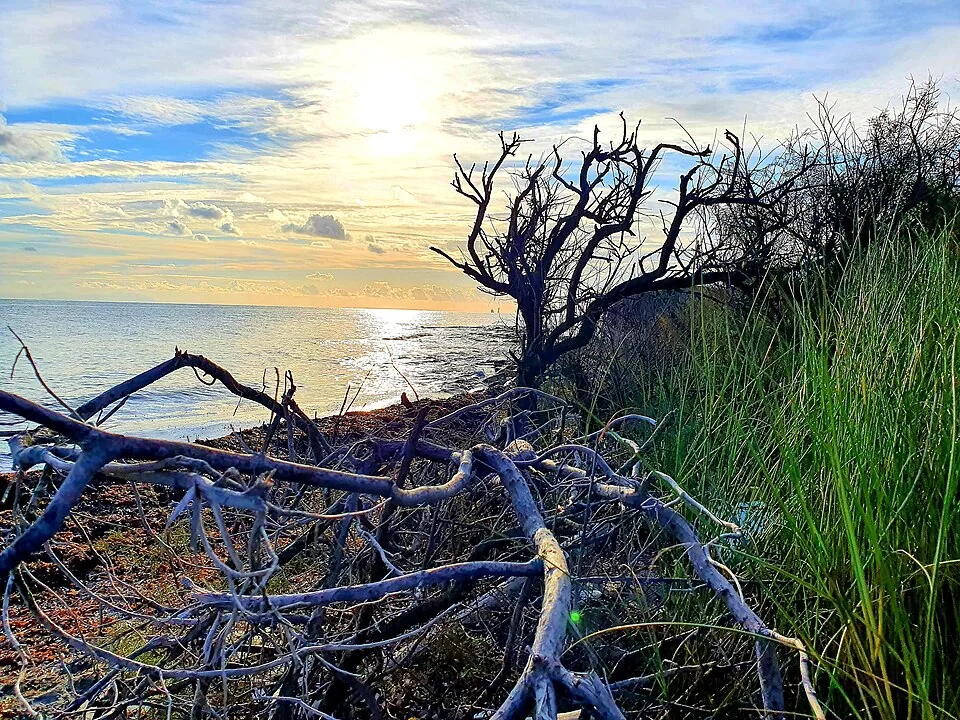 Landschaft im Naturreservat Le Cesine.