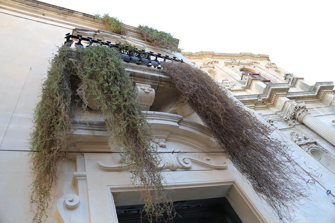 Ein begrünter Balkon an einer hellen Fassade in Lecce.